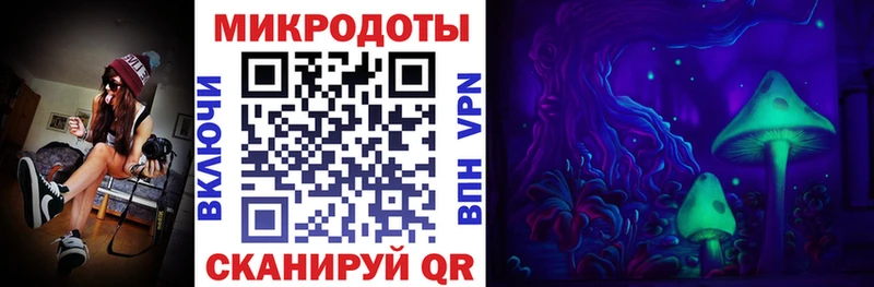 где найти   Каргат  Галлюциногенные грибы MAGIC MUSHROOMS 